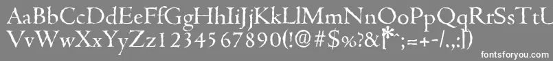 CambridgeantiqueRegular Font – White Fonts on Gray Background