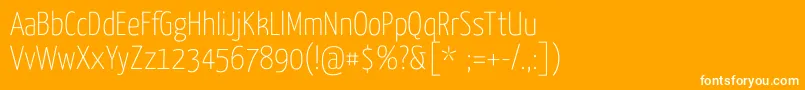 YanoneKaffeesatzThin Font – White Fonts on Orange Background