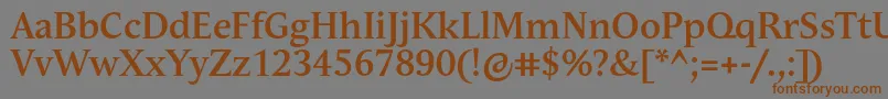 フォントAndulkaBookProBold – 茶色の文字が灰色の背景にあります。