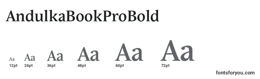 AndulkaBookProBold Font Sizes