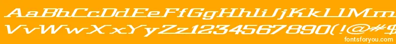 Wideg Font – White Fonts on Orange Background