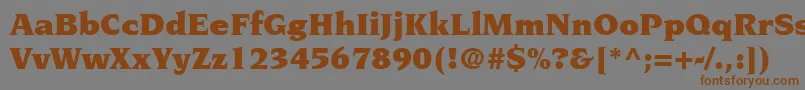 TridentBlackSsiBlack Font – Brown Fonts on Gray Background