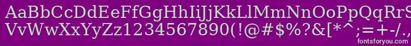 BitstreamVeraSerifRoman Font – Green Fonts on Purple Background