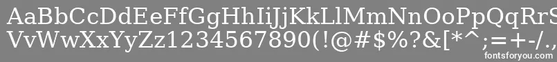 BitstreamVeraSerifRoman Font – White Fonts on Gray Background