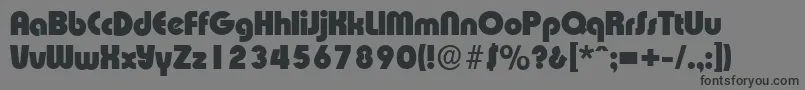 ExpressaserialHeavyRegular Font – Black Fonts on Gray Background