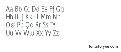 Mkgrotesque Font