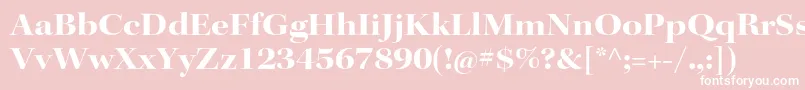 KeplerstdBoldextdisp Font – White Fonts on Pink Background