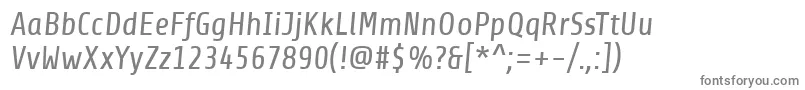 フォントShareItalic – 灰色のフォント