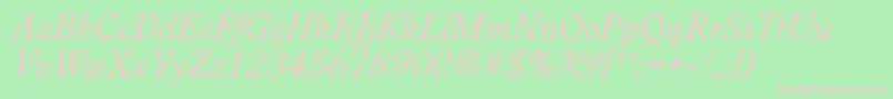 WorcesterantiqueItalic Font – Pink Fonts on Green Background