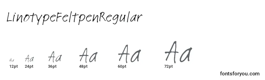 Размеры шрифта LinotypeFeltpenRegular