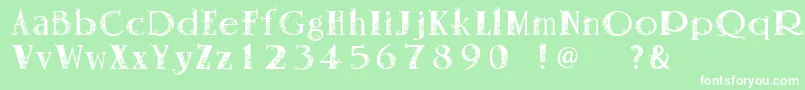 Vanessa Font – White Fonts on Green Background