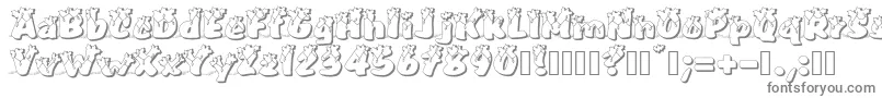 PullstarHolinight-fontti – harmaat kirjasimet valkoisella taustalla