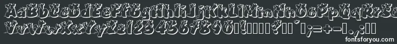 PullstarHolinight Font – White Fonts