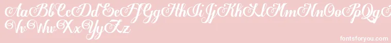 EgregioscriptDemo Font – White Fonts on Pink Background