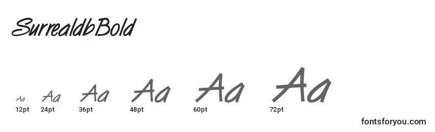 SurrealdbBold Font Sizes