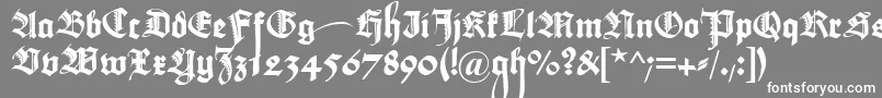 フォントMaximilianZier – 灰色の背景に白い文字