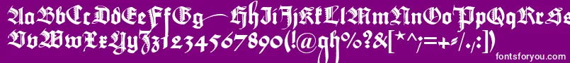 MaximilianZier Font – White Fonts on Purple Background