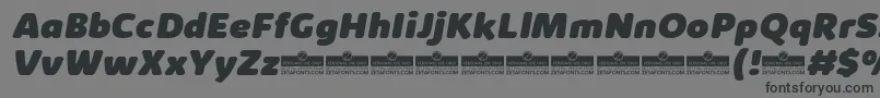 KabrioAbarthHeavyItalicTrial Font – Black Fonts on Gray Background