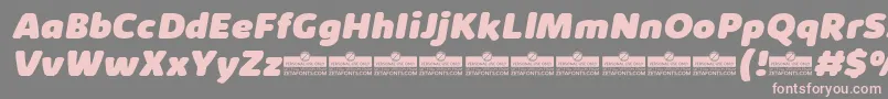 KabrioAbarthHeavyItalicTrial Font – Pink Fonts on Gray Background