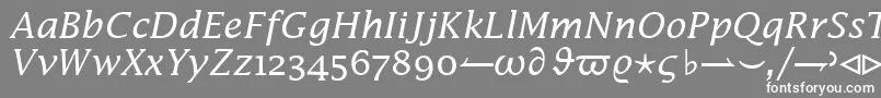 Czcionka InsightMathSsiItalic – białe czcionki na szarym tle