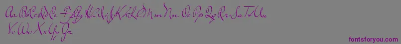 TheLoyalist-Schriftart – Violette Schriften auf grauem Hintergrund