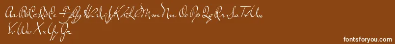 TheLoyalist-Schriftart – Weiße Schriften auf braunem Hintergrund