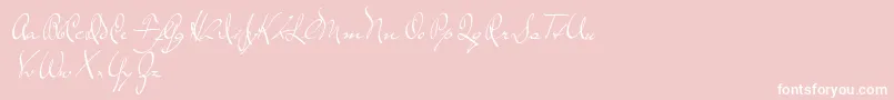 TheLoyalist Font – White Fonts on Pink Background