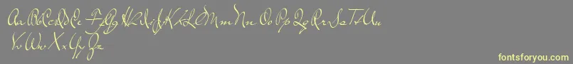 TheLoyalist-Schriftart – Gelbe Schriften auf grauem Hintergrund