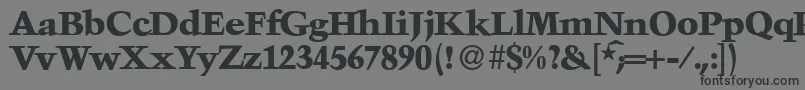TroubadourXboldRegular-Schriftart – Schwarze Schriften auf grauem Hintergrund