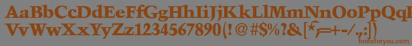 TroubadourXboldRegular Font – Brown Fonts on Gray Background