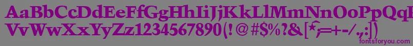 フォントTroubadourXboldRegular – 紫色のフォント、灰色の背景