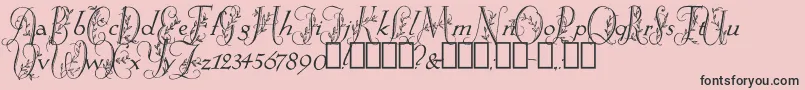 SpringtimeFlourish Font – Black Fonts on Pink Background