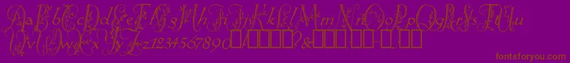 Шрифт SpringtimeFlourish – коричневые шрифты на фиолетовом фоне