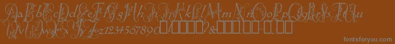 Więcej informacji o czcionce SpringtimeFlourish Czcionka SpringtimeFlourish – szare czcionki na brązowym tle