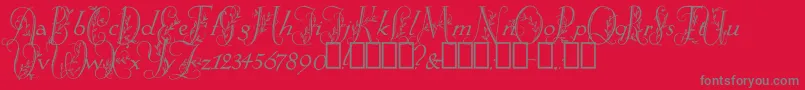 SpringtimeFlourish-Schriftart – Graue Schriften auf rotem Hintergrund