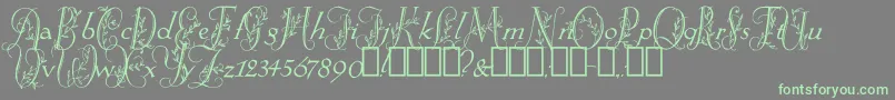 SpringtimeFlourish Font – Green Fonts on Gray Background