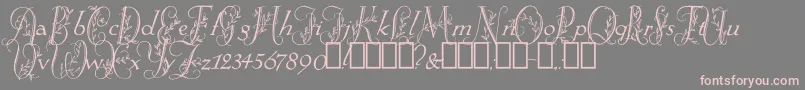 SpringtimeFlourish Font – Pink Fonts on Gray Background