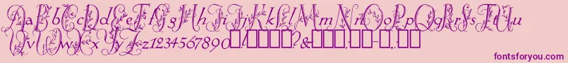 SpringtimeFlourish Font – Purple Fonts on Pink Background