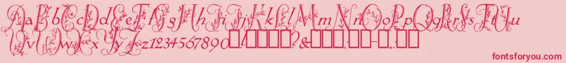 SpringtimeFlourish-fontti – punaiset fontit vaaleanpunaisella taustalla