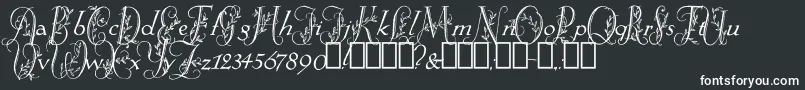 SpringtimeFlourish Font – White Fonts on Black Background