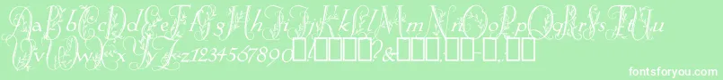SpringtimeFlourish-fontti – valkoiset fontit vihreällä taustalla