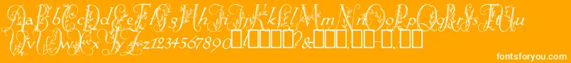 SpringtimeFlourish-Schriftart – Weiße Schriften auf orangefarbenem Hintergrund