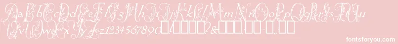 SpringtimeFlourish Font – White Fonts on Pink Background