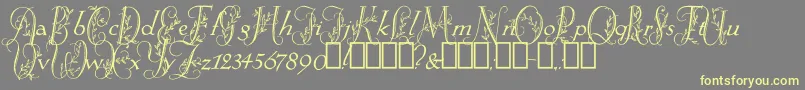 SpringtimeFlourish Font – Yellow Fonts on Gray Background