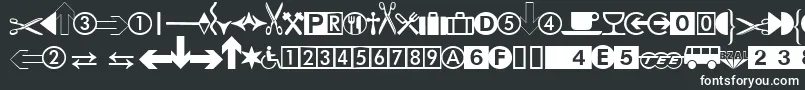 フォントDatasymidbNormal – 黒い背景に白い文字