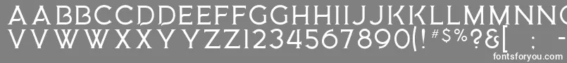 フォントMedusaGothic – 灰色の背景に白い文字