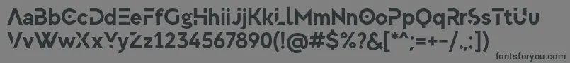 MadeEvolveSansBoldEvoPersonalUse Font – Black Fonts on Gray Background