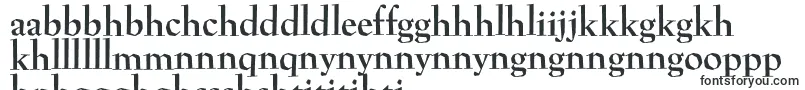 PreissigantikvaBold Font – Sotho Fonts