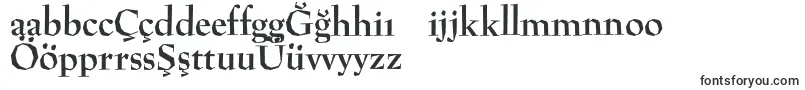 Подробнее о шрифте PreissigantikvaBold Шрифт PreissigantikvaBold – турецкие шрифты