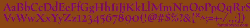 PreissigantikvaBold Font – Purple Fonts on Brown Background